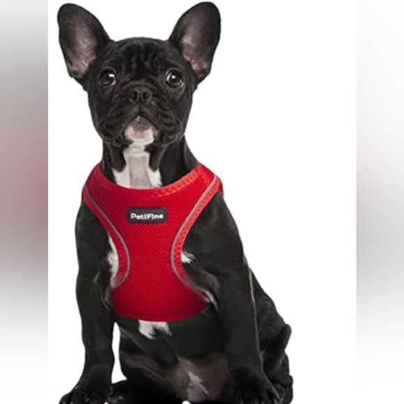 petifine Other - Petifine Step in Red Soft Dog Harness Size Small